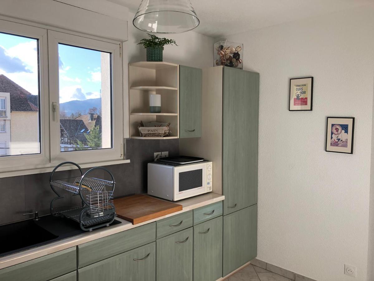 Au Pied Des Vosges Appartement Obernai Buitenkant foto
