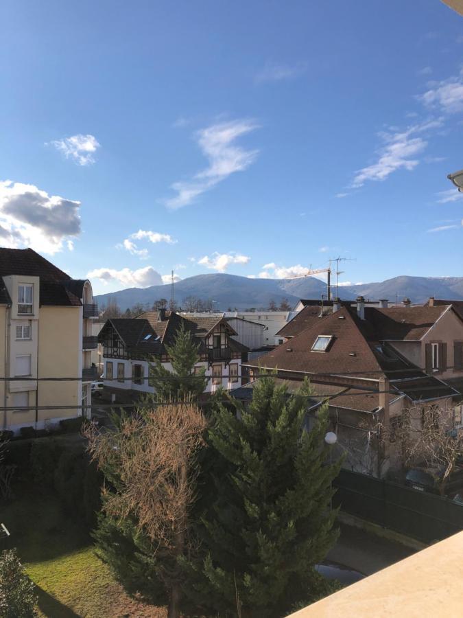 Au Pied Des Vosges Appartement Obernai Buitenkant foto